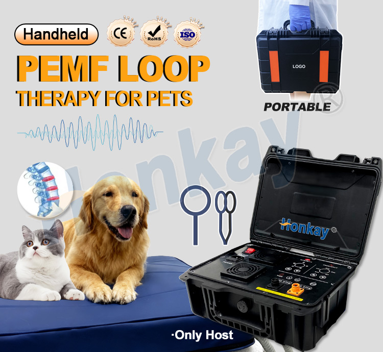 Personal Pet Care PEMF Device  - Health Wellness review and price
